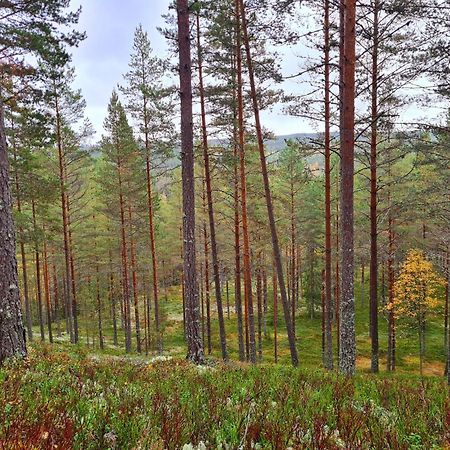 Stuga Ros Naturcamping Lagom Gräsmark Exteriér fotografie