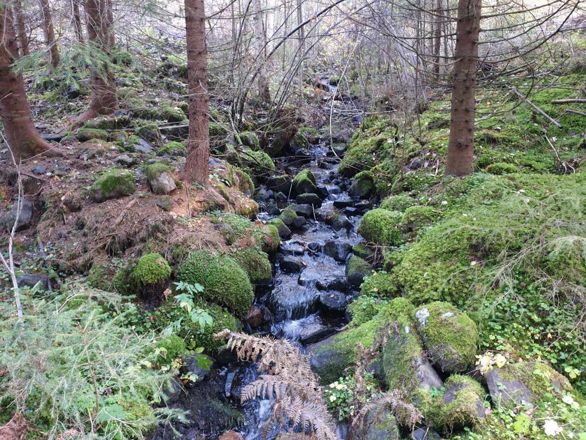 Stuga Ros Naturcamping Lagom Gräsmark Exteriér fotografie