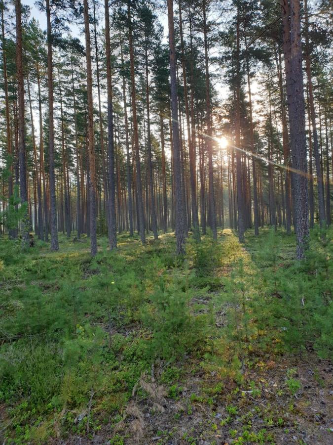 Stuga Ros Naturcamping Lagom Gräsmark Exteriér fotografie