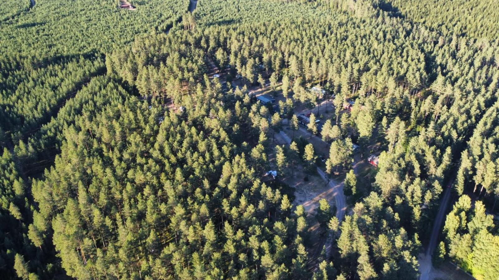 Stuga Ros Naturcamping Lagom Gräsmark Exteriér fotografie