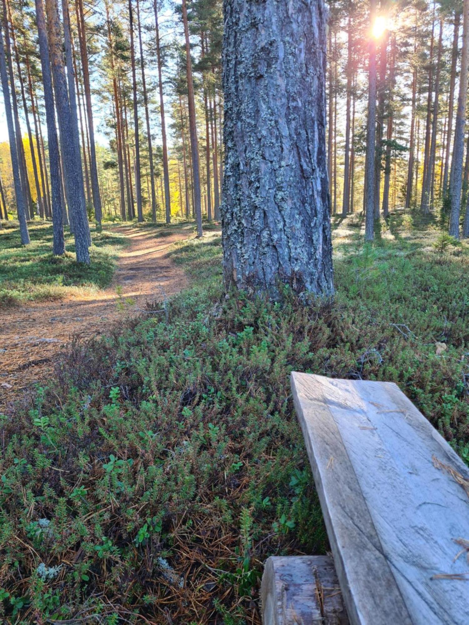 Stuga Ros Naturcamping Lagom Gräsmark Exteriér fotografie