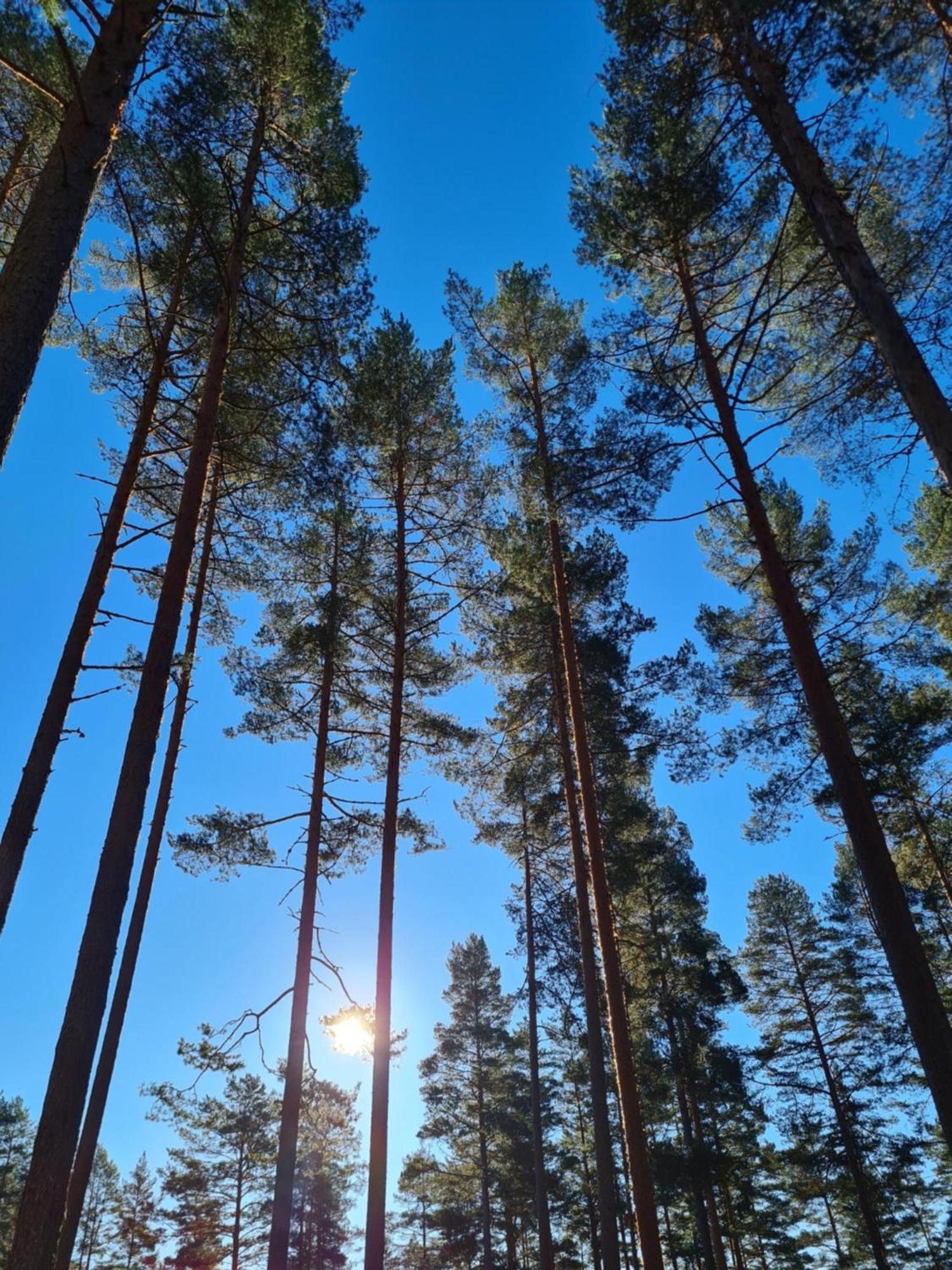 Stuga Ros Naturcamping Lagom Gräsmark Exteriér fotografie